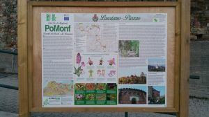 PoMonf, l’anello dei boschi e del romanico