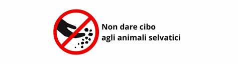 Non dare cibo agli animali selvatici